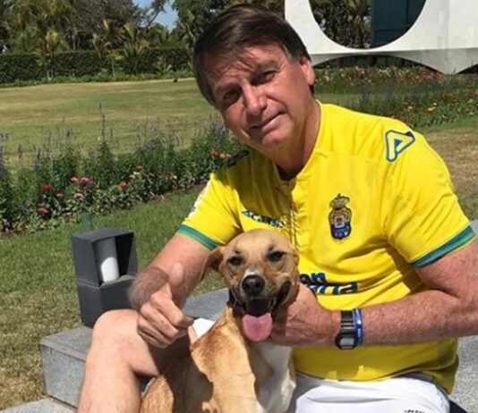 PMs são mordidos por cão caramelo de Bolsonaro durante guarda de prisão domiciliar