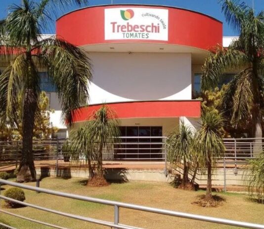 Crise no Ceará: Empresa de tomates com 400 funcionários no estado entra em recuperação judicial.