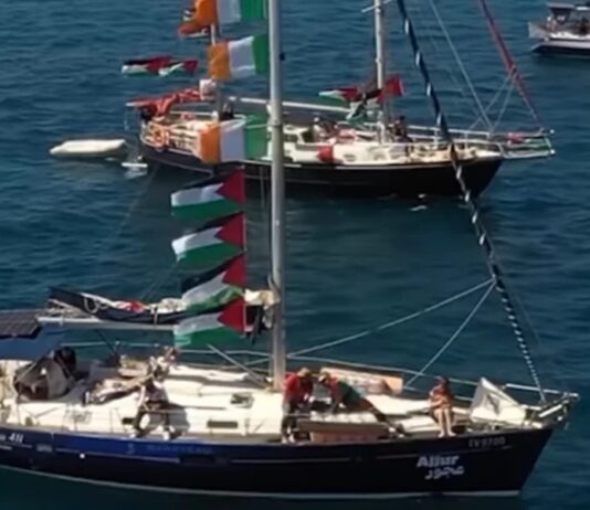 Flotilha de Gaza tinha lógica de seita, diz jornalista do barco de Greta