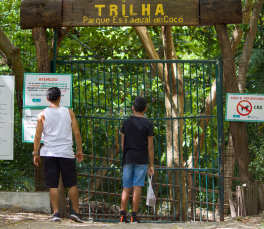 MP investiga empresários suspeitos de desviar verba de projetos sociais e esportivos no parque do Cocó.
