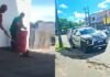 Polícia investiga mortes de dezenas de gatos por asfixia em Fortaleza