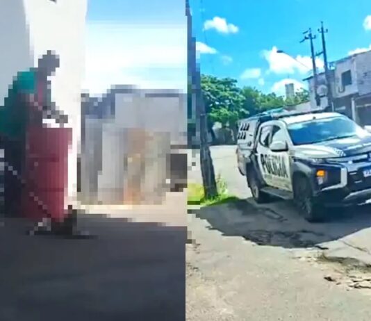 Polícia investiga mortes de dezenas de gatos por asfixia em Fortaleza