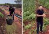 Governo reconhece veracidade de denúncia do deputado André Fernandes sobre maconha “abandonada” em Acopiara.