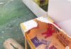 Presidente do Ceará denuncia ataque à filha, que recebeu uma bomba em caixa de chocolate