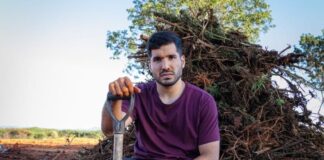 PL anuncia ofensiva jurídica e avalia ação de improbidade contra Governo do Ceará por operação em plantação de maconha