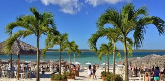 Turismo no Ceará tem pior desempenho do Brasil em 2026, aponta IBGE