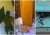 Mais um ataque a igrejas em Fortaleza: Homem vandaliza sacristia e furta TV e notebook