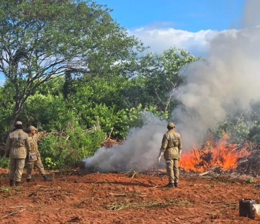 Delegados investigados por suposta falha na custódia da droga da fazenda da maconha são exonerados dos cargos.