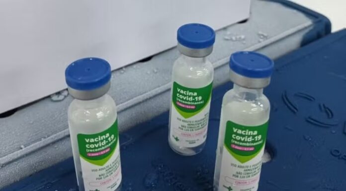 Vacinas serão atualizadas contra novas variantes da Covid.