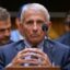Ex-assessor de Fauci admite esquema para ocultar e-mails sobre a origem da Covid-19